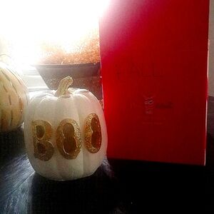 Fall Decor.  PINK ZEBRA Accent Shade. Boo Pumpkin